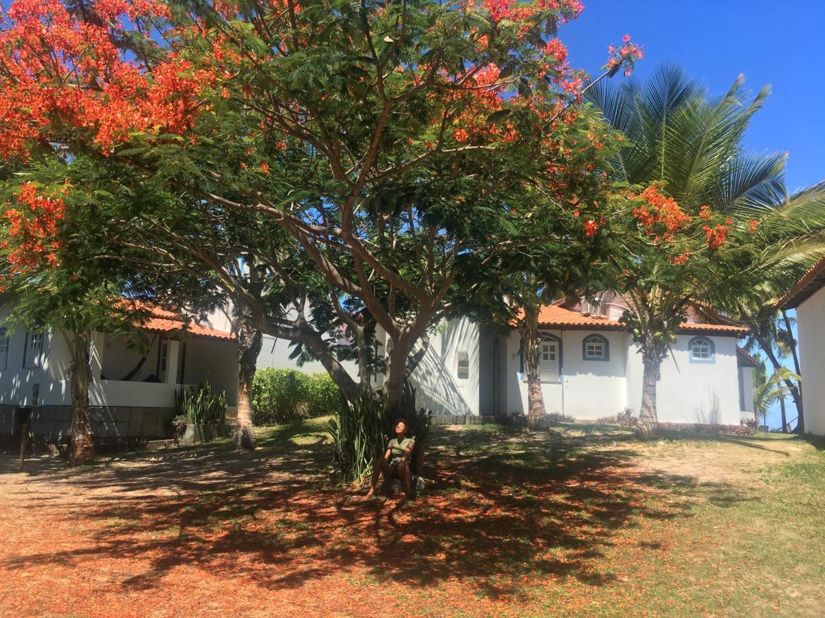 Alma Tropical Mini Resort ベラ・クルス・デ・イタパリカ エクステリア 写真