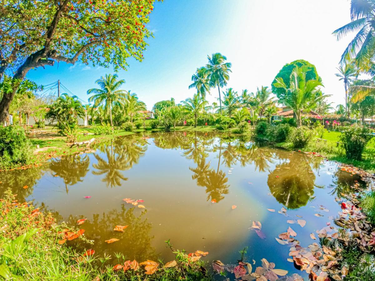 Alma Tropical Mini Resort ベラ・クルス・デ・イタパリカ エクステリア 写真