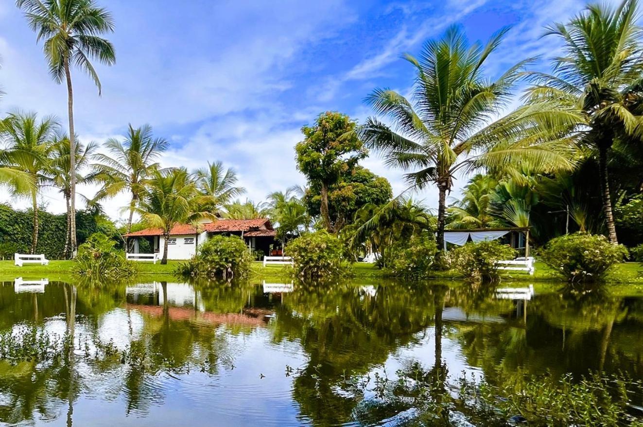Alma Tropical Mini Resort ベラ・クルス・デ・イタパリカ エクステリア 写真