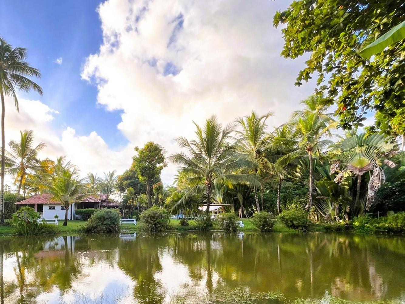 Alma Tropical Mini Resort ベラ・クルス・デ・イタパリカ エクステリア 写真