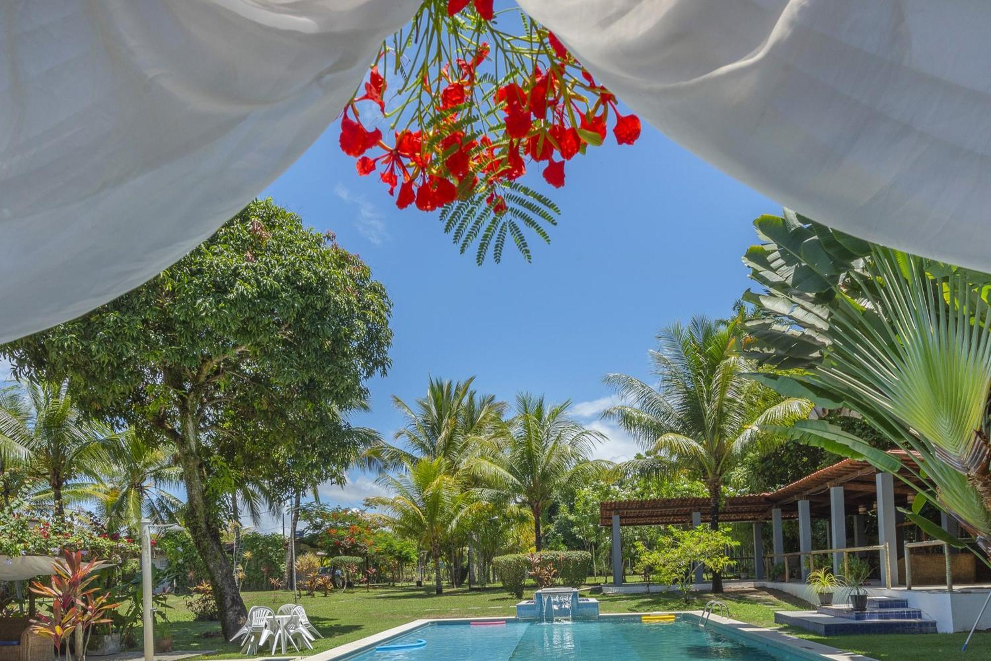 Alma Tropical Mini Resort ベラ・クルス・デ・イタパリカ エクステリア 写真